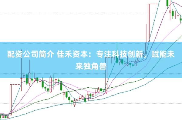 配资公司简介 佳禾资本：专注科技创新，赋能未来独角兽