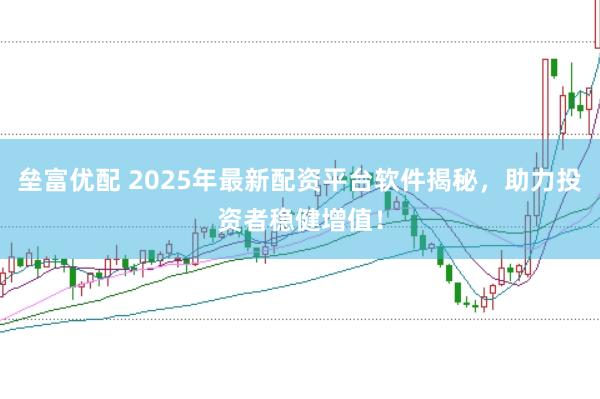 垒富优配 2025年最新配资平台软件揭秘，助力投资者稳健增值！