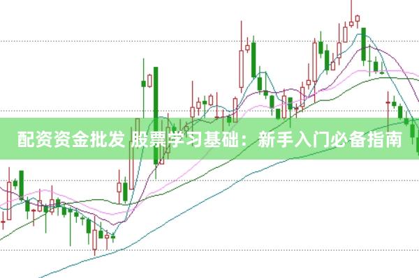 配资资金批发 股票学习基础：新手入门必备指南