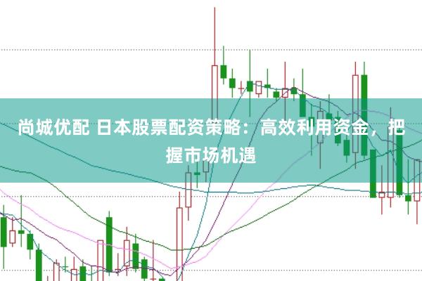 尚城优配 日本股票配资策略：高效利用资金，把握市场机遇