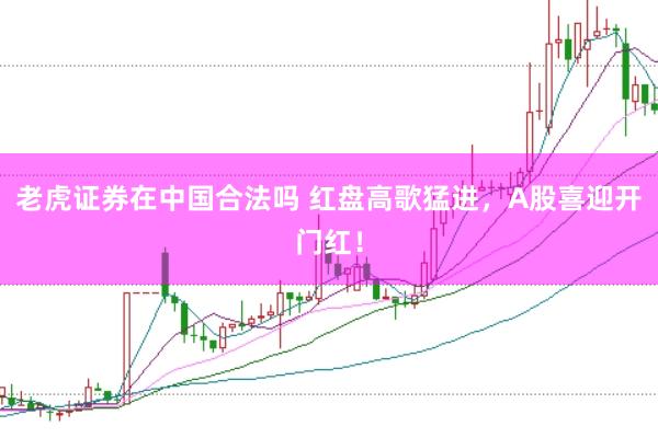 老虎证券在中国合法吗 红盘高歌猛进，A股喜迎开门红！
