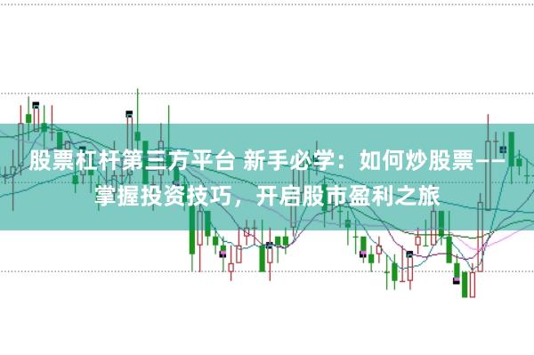 股票杠杆第三方平台 新手必学：如何炒股票——掌握投资技巧，开启股市盈利之旅