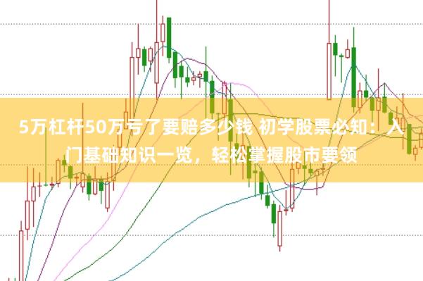 5万杠杆50万亏了要赔多少钱 初学股票必知：入门基础知识一览，轻松掌握股市要领