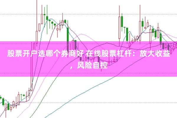 股票开户选哪个券商好 在线股票杠杆：放大收益，风险自控