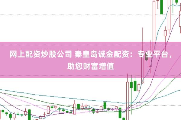 网上配资炒股公司 秦皇岛诚金配资：专业平台，助您财富增值