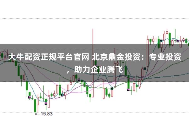 大牛配资正规平台官网 北京鼎金投资：专业投资，助力企业腾飞