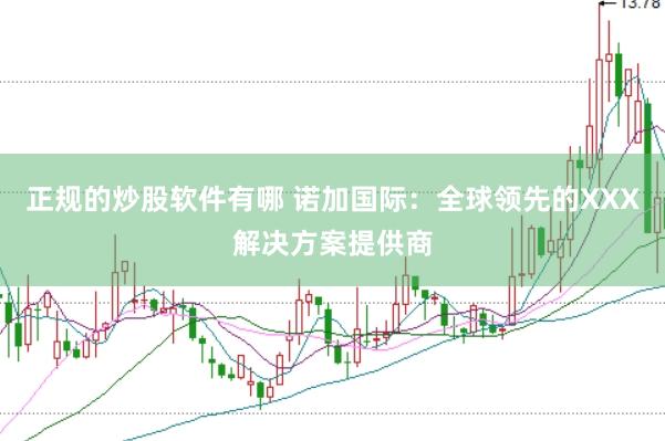 正规的炒股软件有哪 诺加国际：全球领先的XXX解决方案提供商