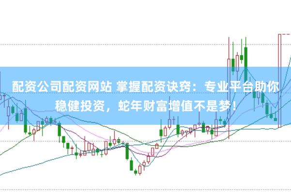 配资公司配资网站 掌握配资诀窍：专业平台助你稳健投资，蛇年财富增值不是梦！