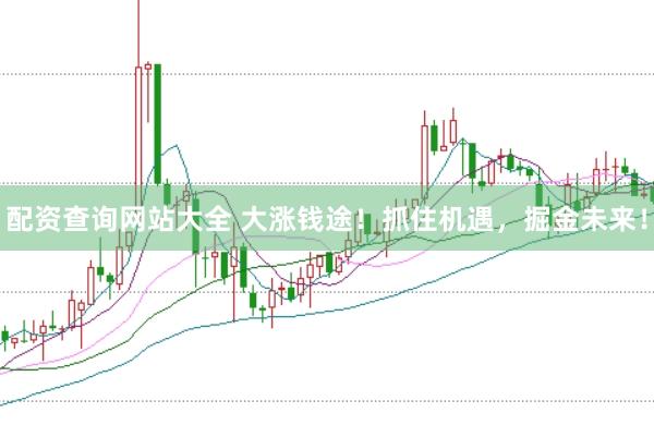 配资查询网站大全 大涨钱途！抓住机遇，掘金未来！