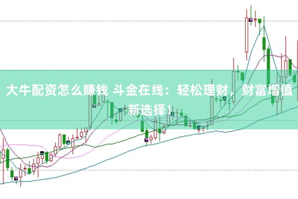 大牛配资怎么赚钱 斗金在线：轻松理财，财富增值新选择！