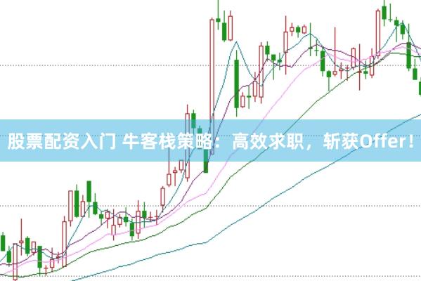 股票配资入门 牛客栈策略：高效求职，斩获Offer！