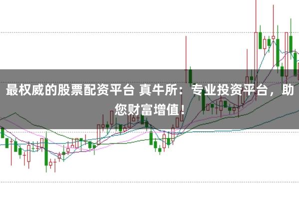 最权威的股票配资平台 真牛所：专业投资平台，助您财富增值！