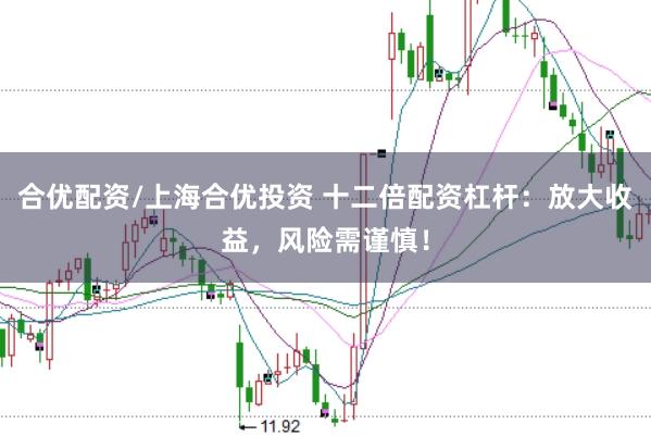 合优配资/上海合优投资 十二倍配资杠杆：放大收益，风险需谨慎！