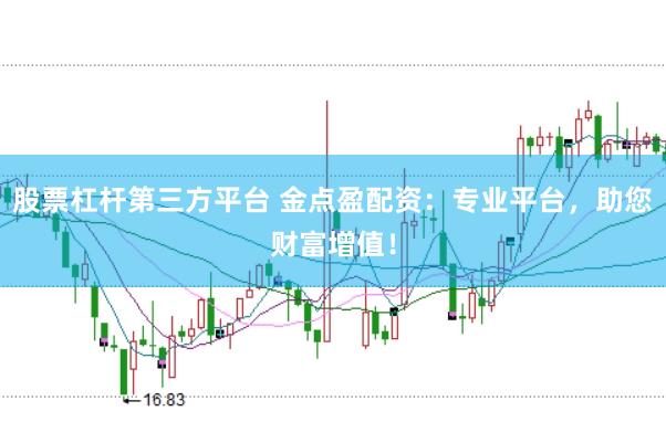 股票杠杆第三方平台 金点盈配资：专业平台，助您财富增值！