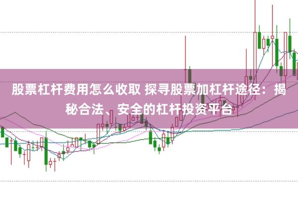 股票杠杆费用怎么收取 探寻股票加杠杆途径：揭秘合法、安全的杠杆投资平台