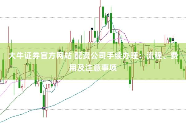 大牛证券官方网站 配资公司手续办理：流程、费用及注意事项