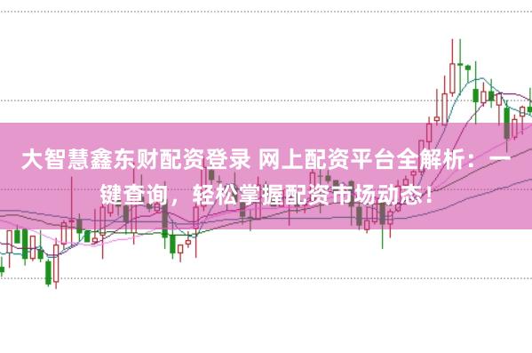 大智慧鑫东财配资登录 网上配资平台全解析：一键查询，轻松掌握配资市场动态！